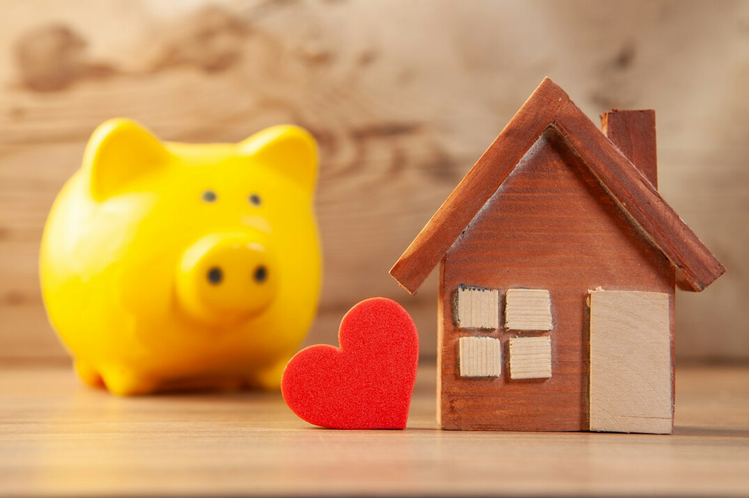 person saving money piggy bank